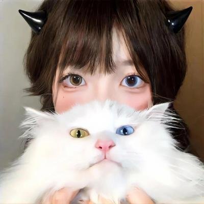新·假面骑士